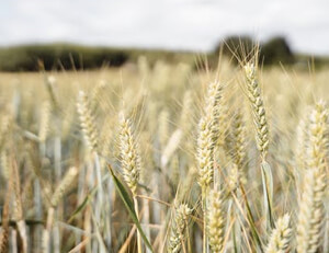 shadowrocket官网入口:笔记本怎么连打印机 笔记本和打印机如何连